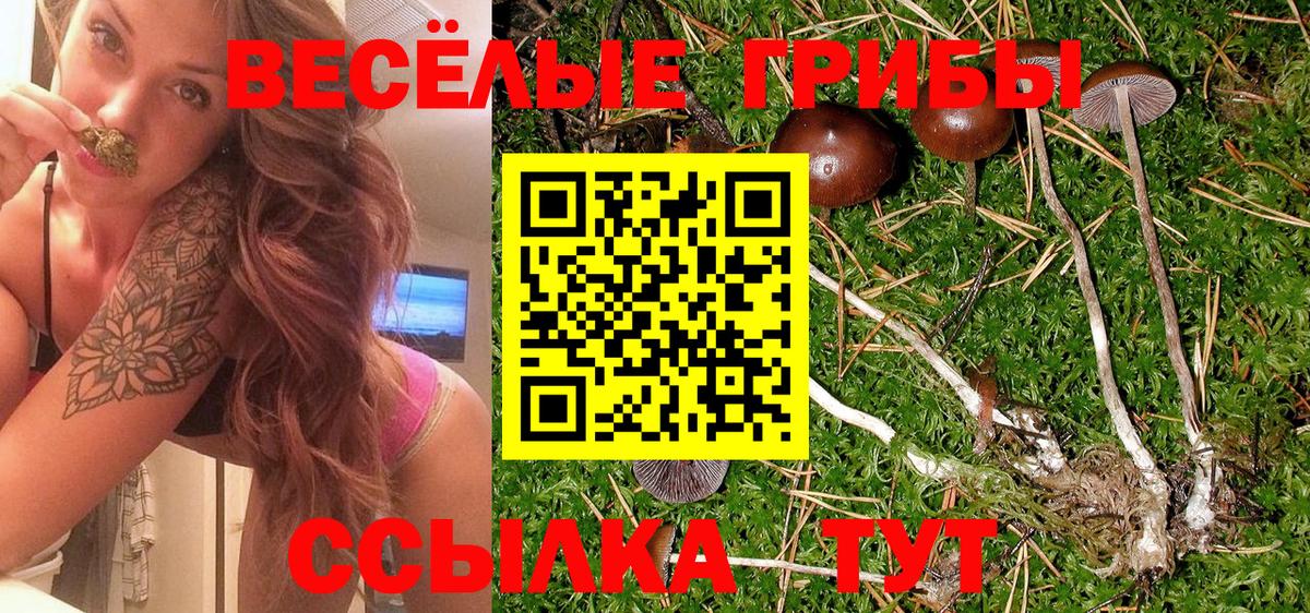 Псилоцибиновые грибы ЛСД Елабуга