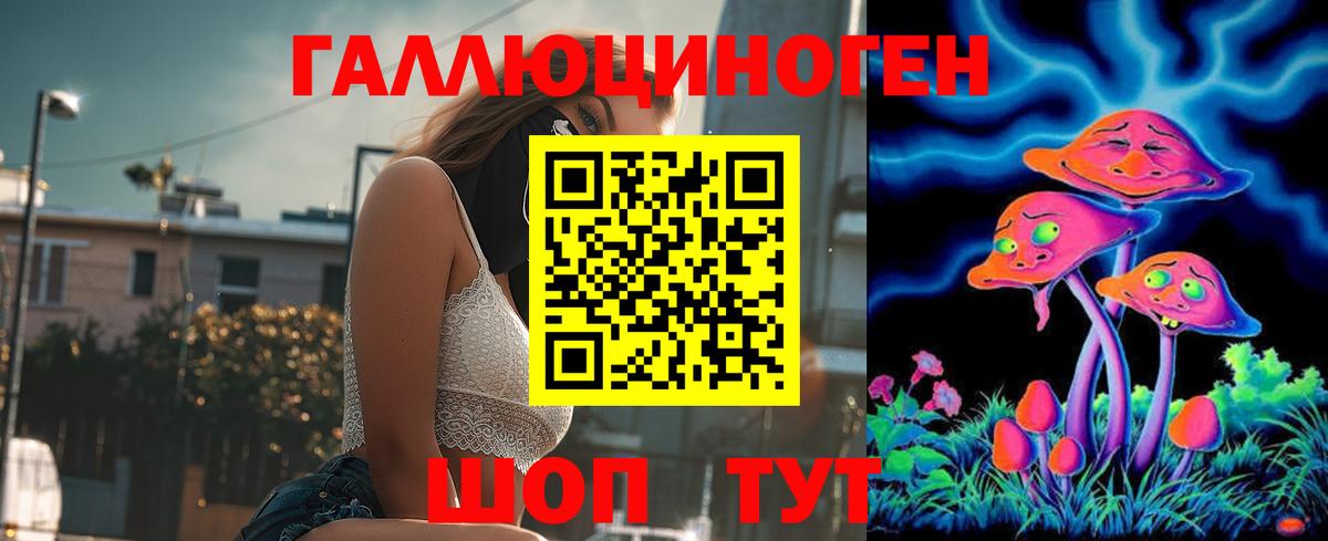 Галлюциногенные грибы Psilocybe  Вход с VPN  Елабуга 